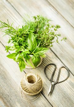 Fresh herbs outdoor on the wooden table. Preparation for drying