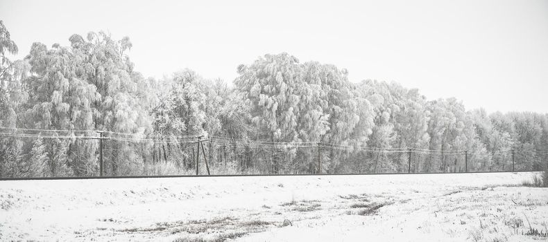 beautiful panorama with snow-covered trees and railway