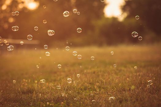 Bubbles in the park outdoor on the sunset