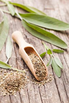 Dry sage in wooden scoop and green twigs