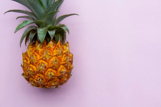 Closeup of fresh exotic thailand pineapple, cutting at the top of the leaves. Pink background, copy space.