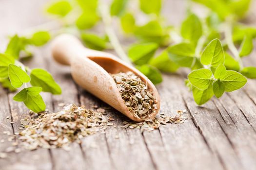 Dry oregano in wooden scoop and green twigs