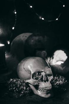 Occult mystic ritual halloween witchcraft scene - human scull, candles, dried flowers, moon and owl. Black and white photo.