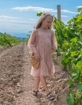 Girl in vineyard and mountains sky earth wine nature green, country outdoor farm barrel female. Summer season background