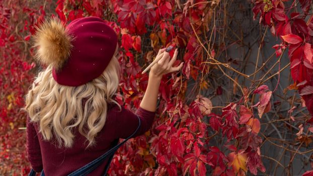 Canadian maple girl in red paints a wall with leaves in a beret and in a blouse, blonde Caucasian European beauty