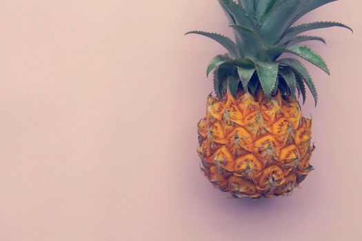 Closeup of fresh exotic thailand pineapple, cutting at the top of the leaves. Pink background, copy space, toned.