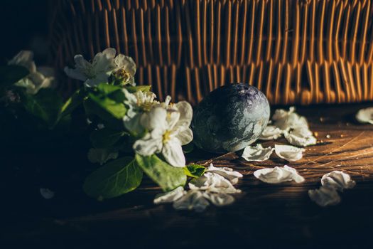 Easter eggs on rustic wooden background with apple blossom branch