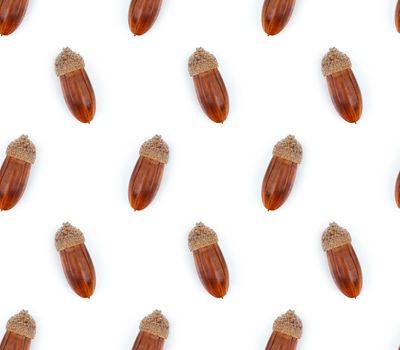 Autumn acorns seamless pattern on white background. Flat lay, top view
