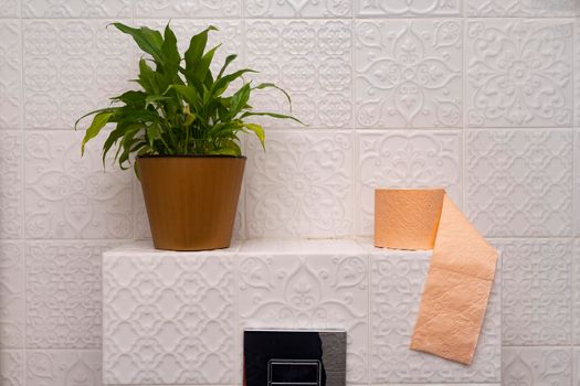 Closeup at toilet paper and plant at a pot at closet, white background.