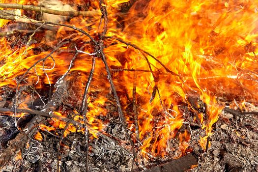 Ignite the fire.Bonfire closeup. Burning branches and wood. Flames in fireplace cozy home warmth love romantic. Spring cleaning gardening picnic