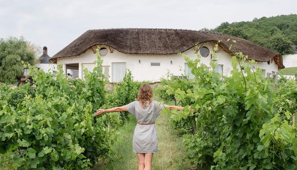 Back view of a woman in summer dress walking through the vineyard