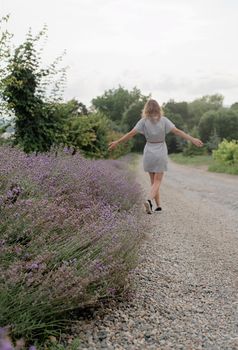 Woman walking by the lavender field, selective focus