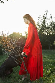 woman in a red dress in a field with a black dog Friendship fun. High quality photo