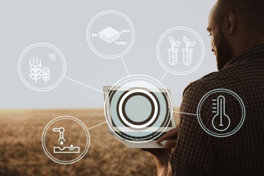 Young man using laptop in wheat field close up, agricultural concept