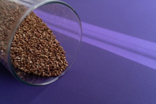 Brown fried buchwheat in a glass jar laying on purple background, cereal concept, close up, copy space, sun light on background.