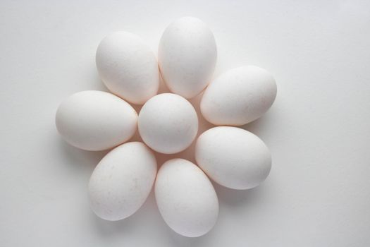 Chicken egg is half broken among other eggs white