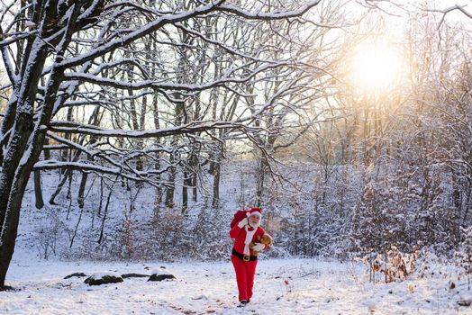 Santa in forest. Grandfather deliver gifts. Senior Santa Claus in Christmas suits in snowy winter mountain. New Year and xmas is coming