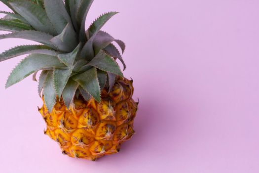 Fresh exotic fruit, yellow pineapple with green leaves on pink background, summer fruit concept, copy space, view from the top.