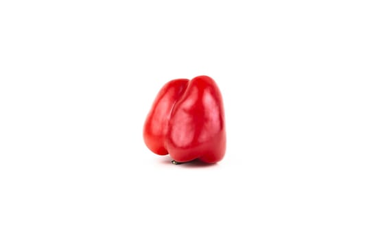 One red sweet bell pepper isolated on white background