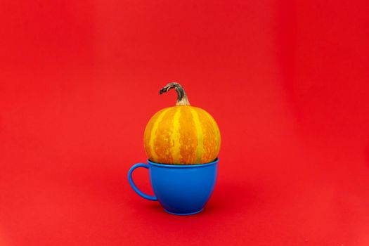 Small pumpkin in a plastic blue mug in red background, minimalistic concept, enough space for text.