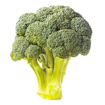 Green broccoli isolated on white background closeup