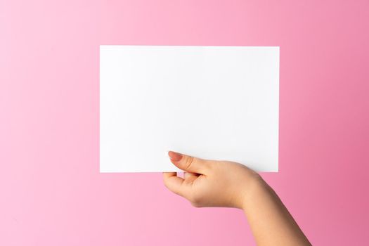 Woman hand showing blank business card on pink background. Close up.