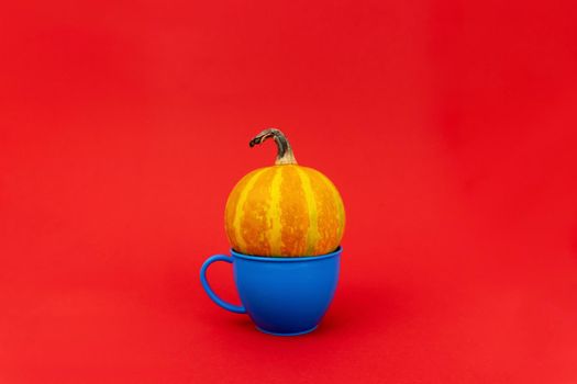 Small pumpkin in a plastic blue mug in red background, minimalistic concept, enough space for text.