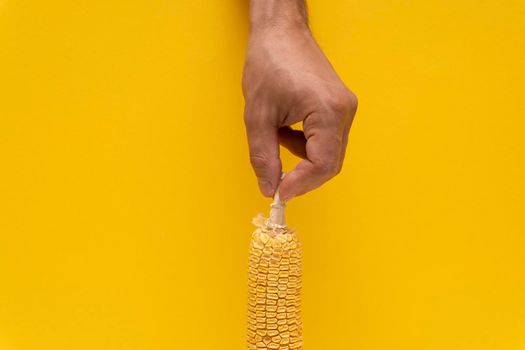 Closeup at the moldy yellow corn in male caucasian hand at yellow background, copy space.