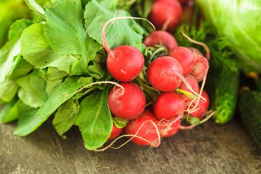 Fresh radish bunch and other spring vegetables