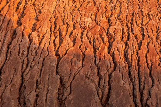 Red Rough Geological Formation Detail. Natural canyon backgrounds and textures