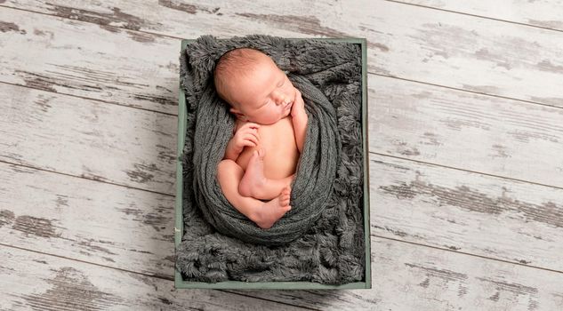 Sweet dreams of a newborn nested on a soft dark pillow, topview