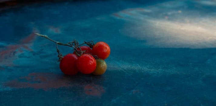 Mix Tomatoes Cherry branch In Summer Day. Composition Of Variety Fresh Tomatoes. Rustic Dark Styling