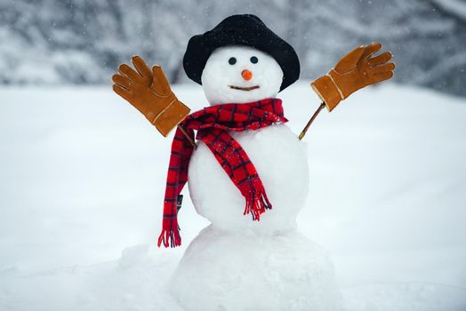 Snowman with hat and scarf in winter outdoor. The snowman is wearing a fur hat and scarf. Christmas background with snowman