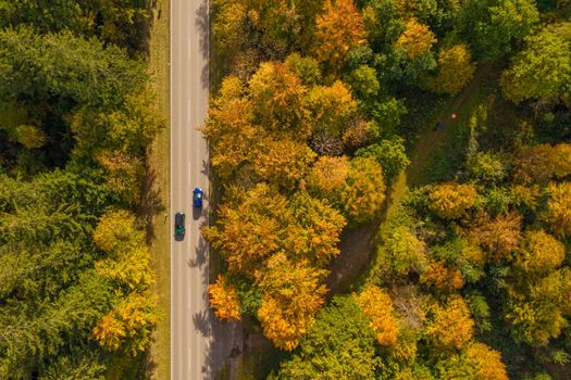 Autumn colors of fall trees besides a straight road with two oncoming cars, photography straight from above at the car roofs