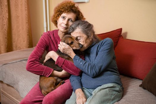 Elder woman and her adult daughter together with two dachshund dogs on sofa indoors spend time happily, portrait. Theme of mother and daughter relationship, taking care of parents, family care.
