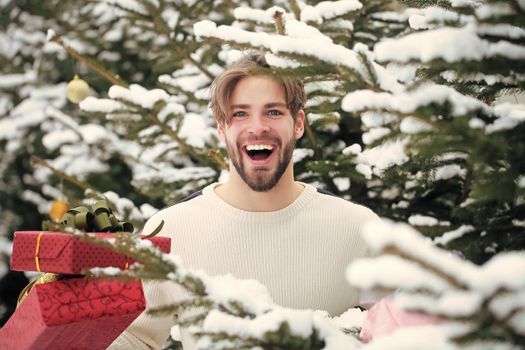 Gay smiling with presents on winter day. Season greetings and xmas gifts. Man holding red boxes in snow wood. Man on Christmas.