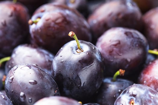 Fleshy wet plums close up as a background