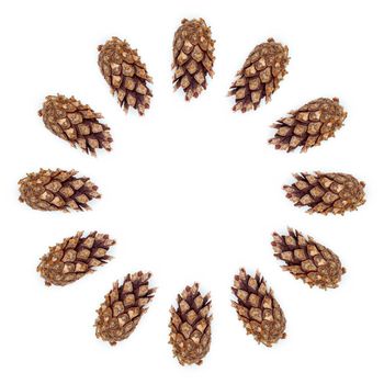 pine cones on white wood table, purity Christmas decoration.