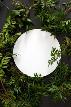 Top view composition with various fresh green foliage arranged around blank white round plate