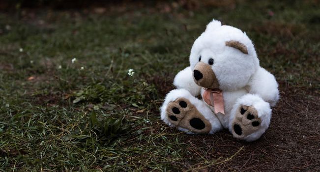 Cute adorable lost abandoned soft plush stuffed children toy teddy bear sitting on ground street road. In park outdoor. Lost lonely toy outside.