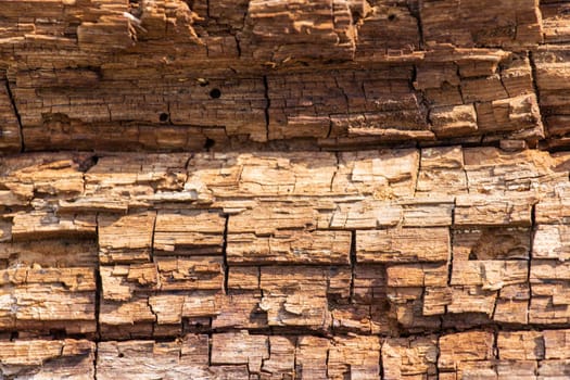 Brown Old wood texture. Abstract background, empty template