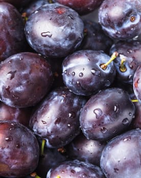 Fleshy wet plums close up as a background