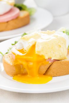 Eggs benedict close up on white plate, serving table