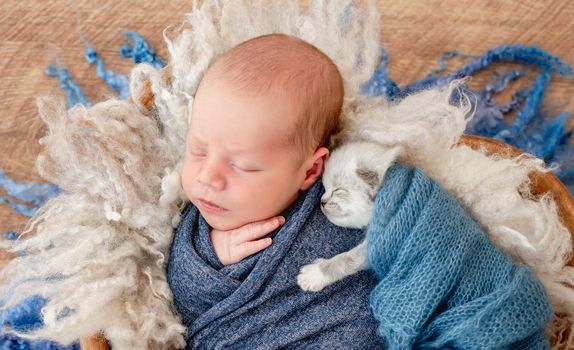 Adorable newborn baby boy swaddled in blue fabric sleeping and little fluffy kitten hugging him. Cute infant kid napping with cat kity in fur iduring studio photoshoot