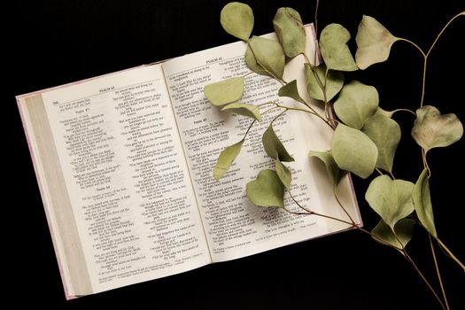 Top view An open Bible with a sprig of leaves on a dark background