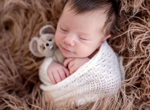 Peaceful sleep of newborn with toy