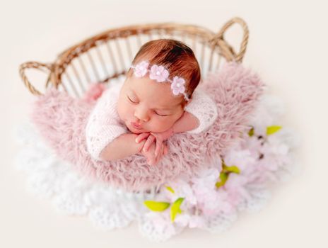 Swaddled beautiful newborn baby girl with knitted flower wreath on her head sleeping in the basket with pink fur. Cute female infant child photoshoot in studio. Adorable kid napping