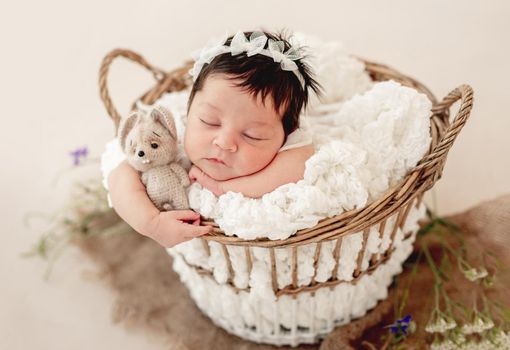 Funny newborn sleeping in basket on stomach