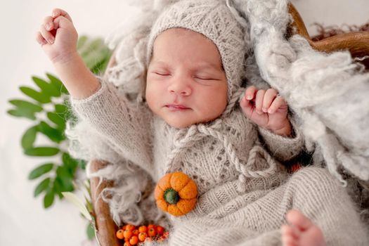 Adorable newborn baby boy wearing cute knitted costume sleeping holding hand up with autumn decoration with pampkins. Infant child napping during studio photoshoot