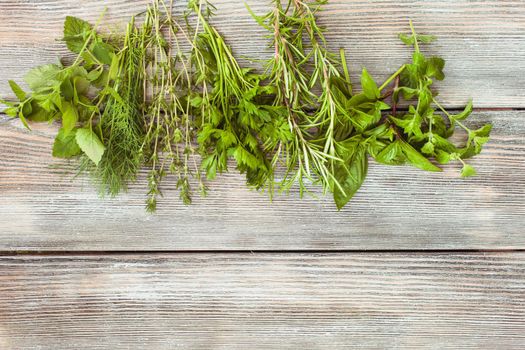 Fresh herbs on the wooden background with copy text